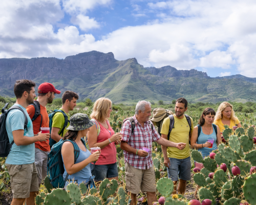Conoce el Tuno Indio